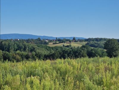 Uniek landgoed met 10,25 hectare en eindeloze mogelijkheden!