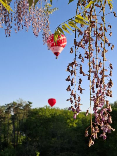 Cosy landhuis in de Dordognevallei