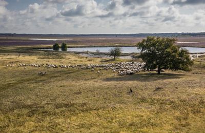 Recreatiewoning op eigengrond te koop in Ruinen
