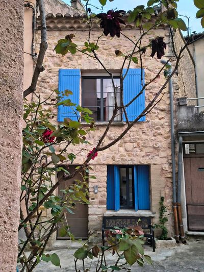 Musette du Ventoux Studio au pied du Ventoux