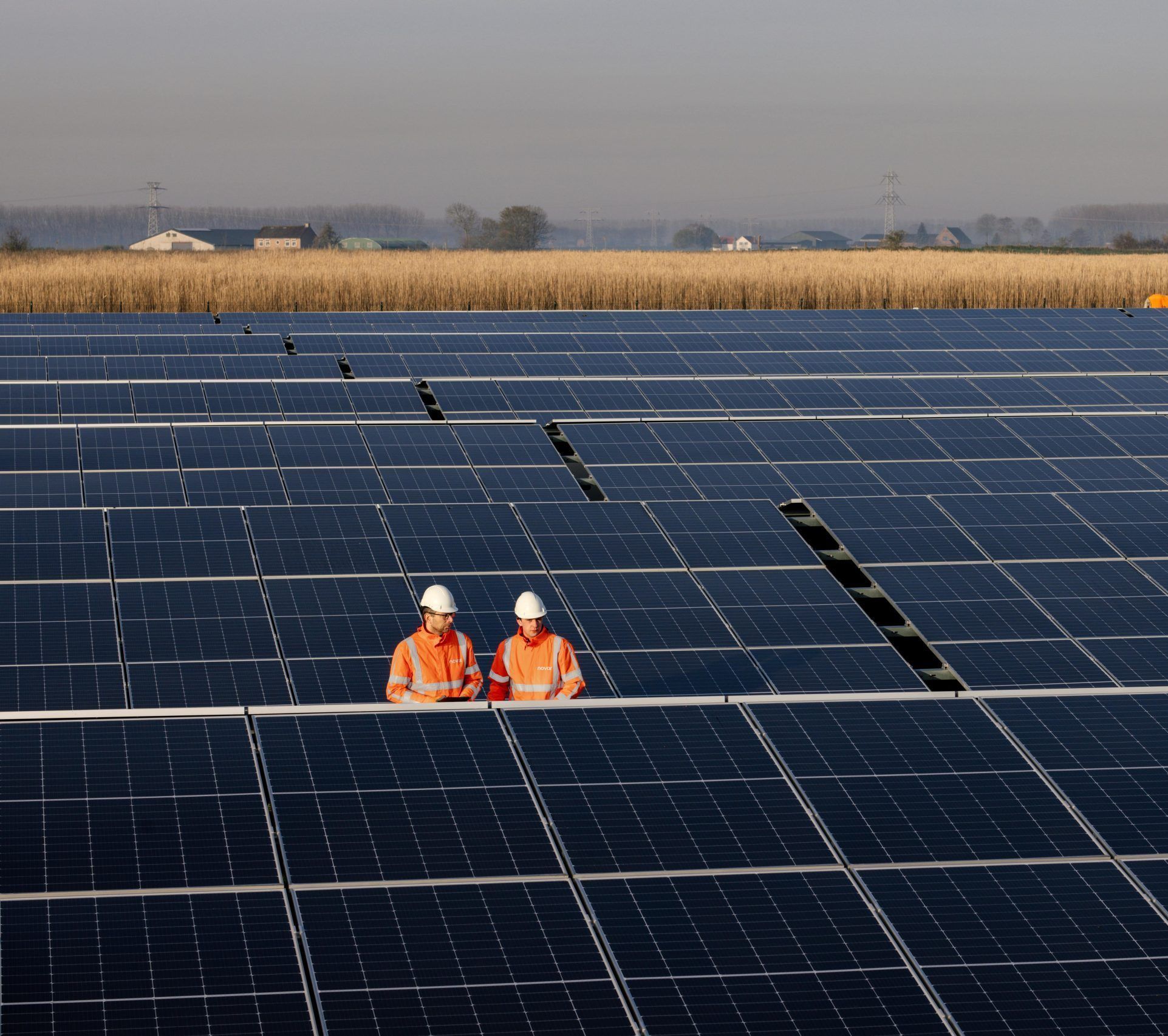 Zonnepanelen op de grond