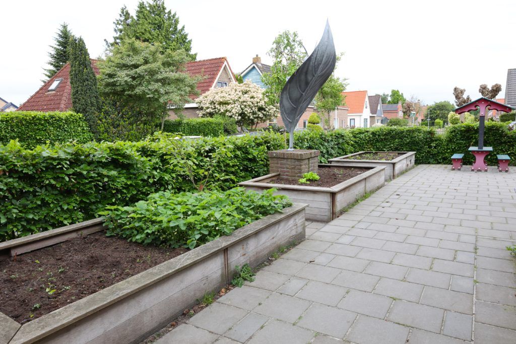 Moestuin de Dorpsschool in Wolvega