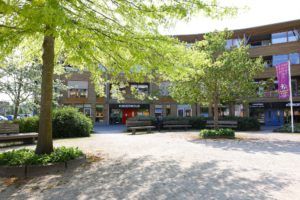 Kinderwoud Kinderopvang de Bosplaats in Heerenveen