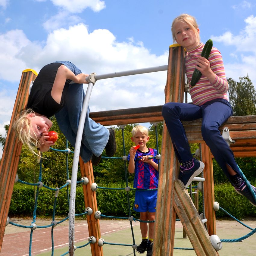 Thema Proef je fit bij Kinderwoud