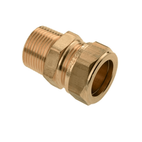BONFIX messing knelfitting puntstuk 1inch x 22mm FR