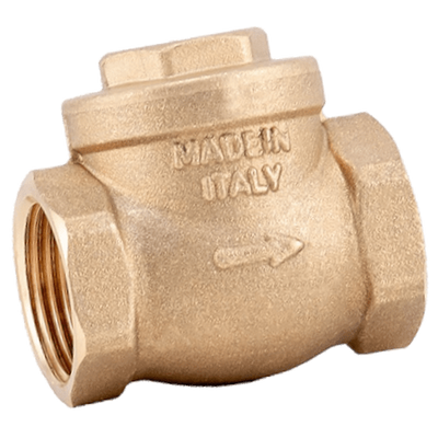 EnergyBy swing terugslagklep FF met messing insert - DN25 (1inch) Foto van EnergyBy swing terugslagklep FF met messing insert - DN25 (1inch)