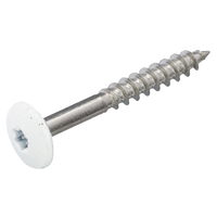 HPL screws 4.8 x 38 stainless steel A2 white RAL 9010 - 200 pcs