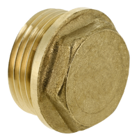 BONFIX messing draadfitting plug met zeskant 2 1/2inch R