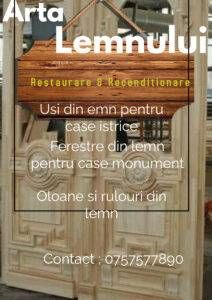 Reconditionare,restaurare,reparatii usi din lemn