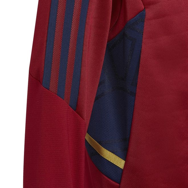 Afbeelding van Ajax Amsterdam Condivo 22 Trainingsset Kids Team Victory Red