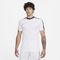 Afbeelding van Nike Dry Fit Academy Shirt White Black