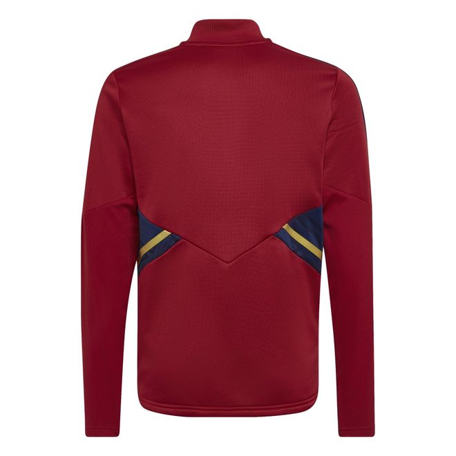 Afbeelding van Ajax Amsterdam Condivo 22 Trainingsset Kids Team Victory Red