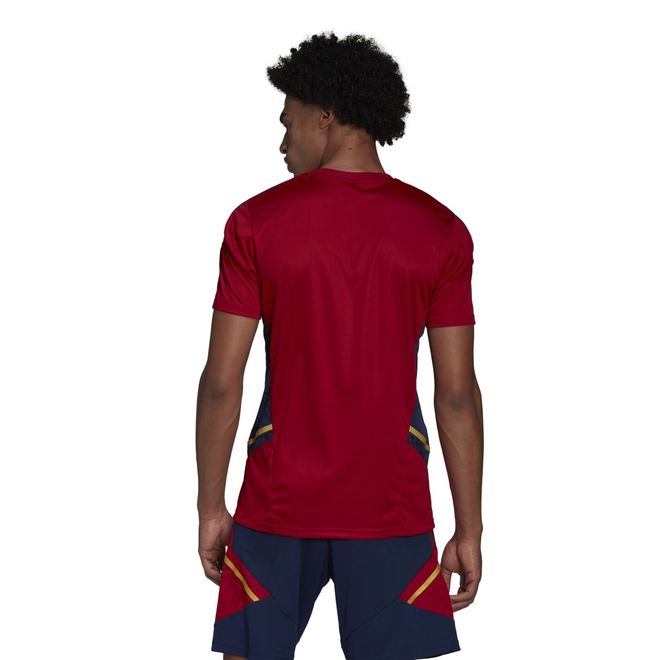 Afbeelding van Ajax Amsterdam Condivo 22 Training Zomerset Team Victory Red