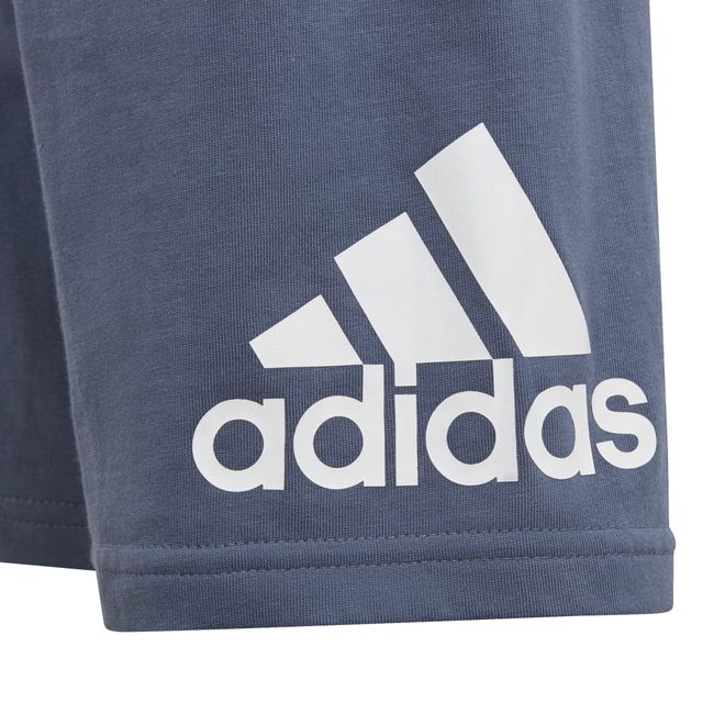 Afbeelding van Adidas Essentials Logo T-shirt en Short Set Little Kids Semi Spark