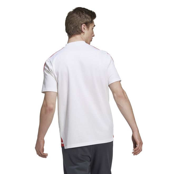 Afbeelding van FC Bayern München Condivo 22 Polo Set White