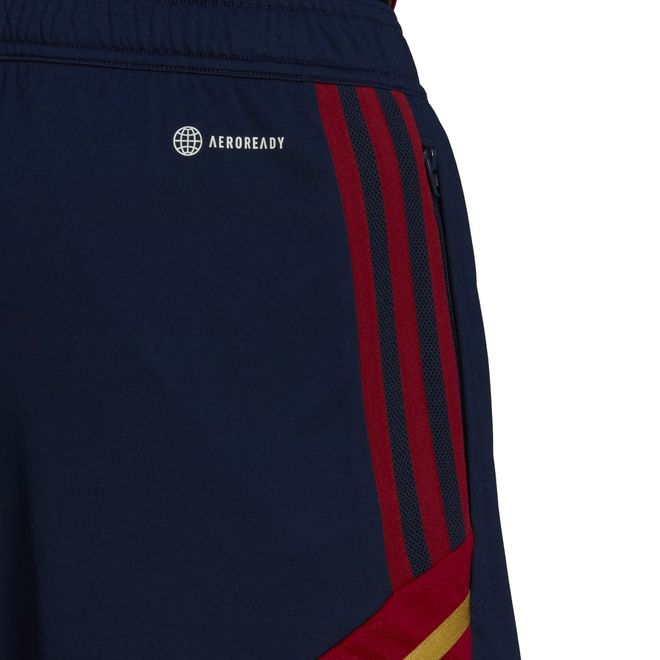 Afbeelding van Ajax Amsterdam Condivo 22 Training Zomerset Team Victory Red