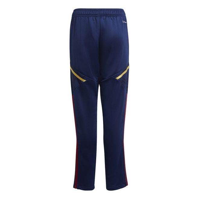 Afbeelding van Ajax Amsterdam Condivo 22 Trainingsset Kids Team Victory Red