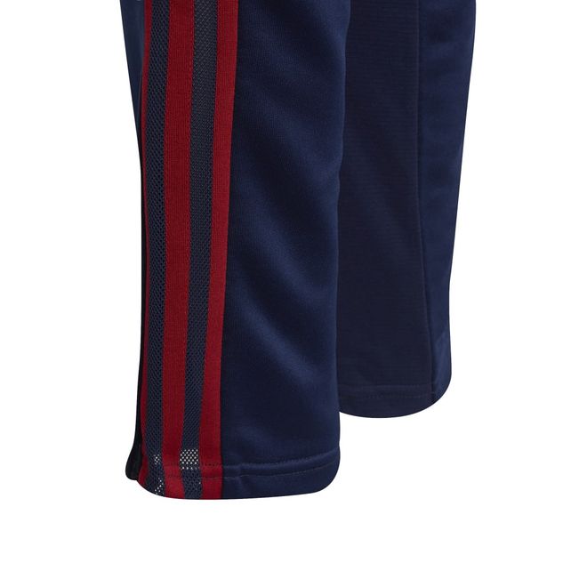 Afbeelding van Ajax Amsterdam Condivo 22 Trainingsset Kids Team Victory Red
