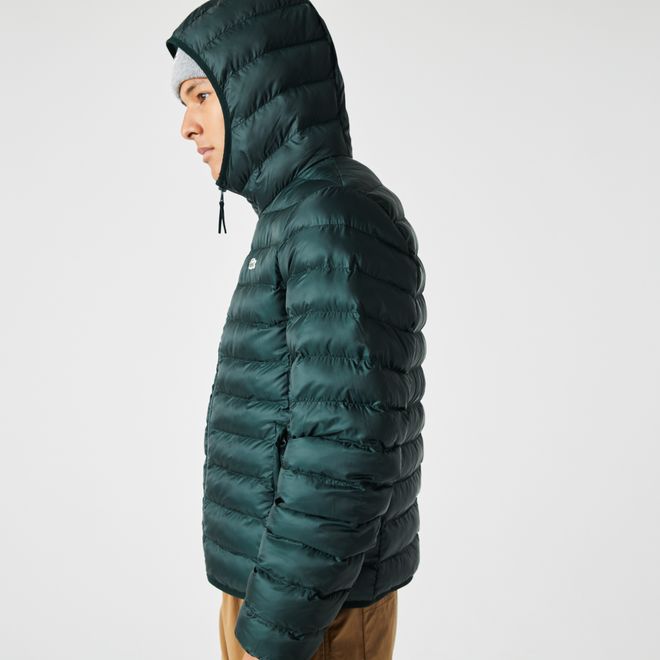 Afbeelding van Lacoste kort jack heren gewatteerd met capuchon Groen