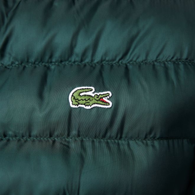 Afbeelding van Lacoste kort jack heren gewatteerd met capuchon Groen