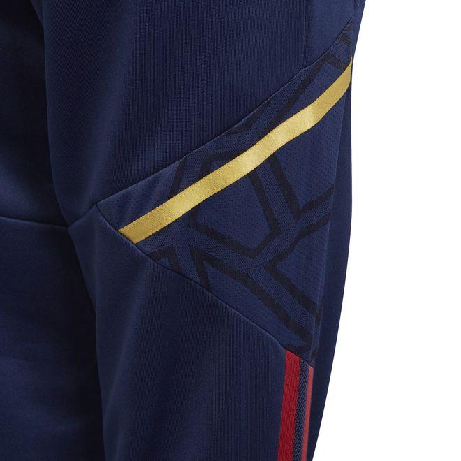 Afbeelding van Ajax Amsterdam Condivo 22 Trainingsset Kids Team Victory Red