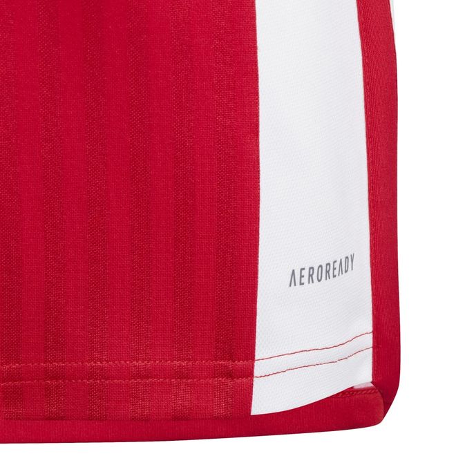 Afbeelding van Ajax Amsterdam 23/24 Thuisshirt Kids