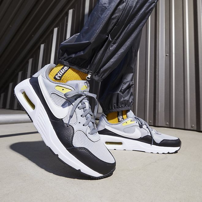 Afbeelding van Nike Air Max SC Wolf Grey