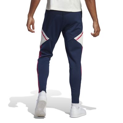 Foto van Arsenal Condivo 22 Training Broek Collegiate Navy