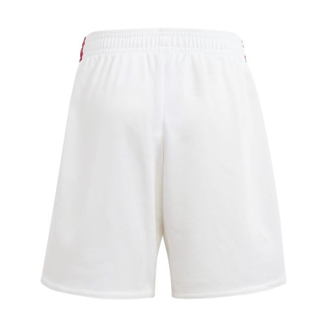 Afbeelding van Ajax Amsterdam 23/24 Mini Thuistenue