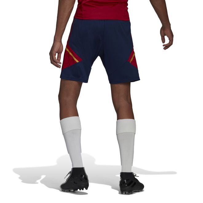 Afbeelding van Ajax Amsterdam Condivo 22 Training Zomerset Team Victory Red