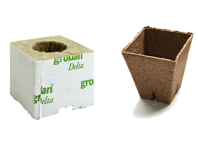 Grodan starter block and Jiffy peat pot