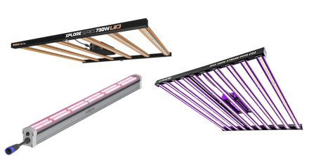 DimLux Xplore, Lumatek ZEUS, Ralight LED