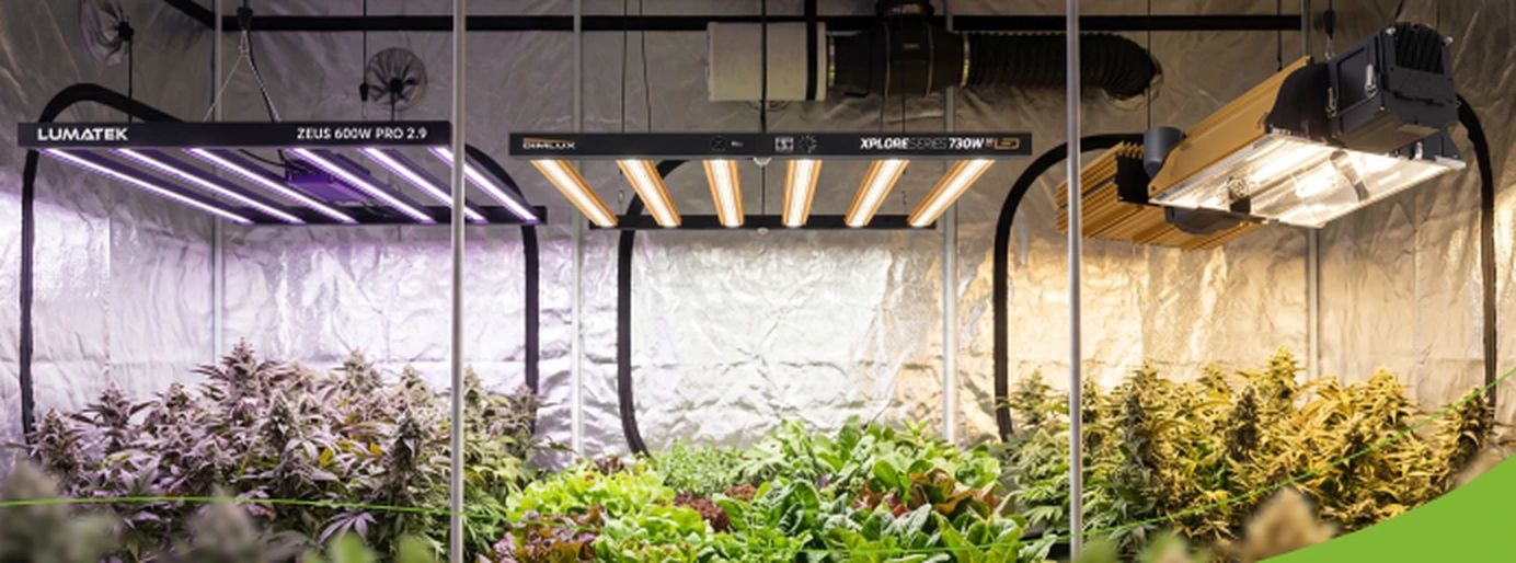 LED and HPS lighting above plants