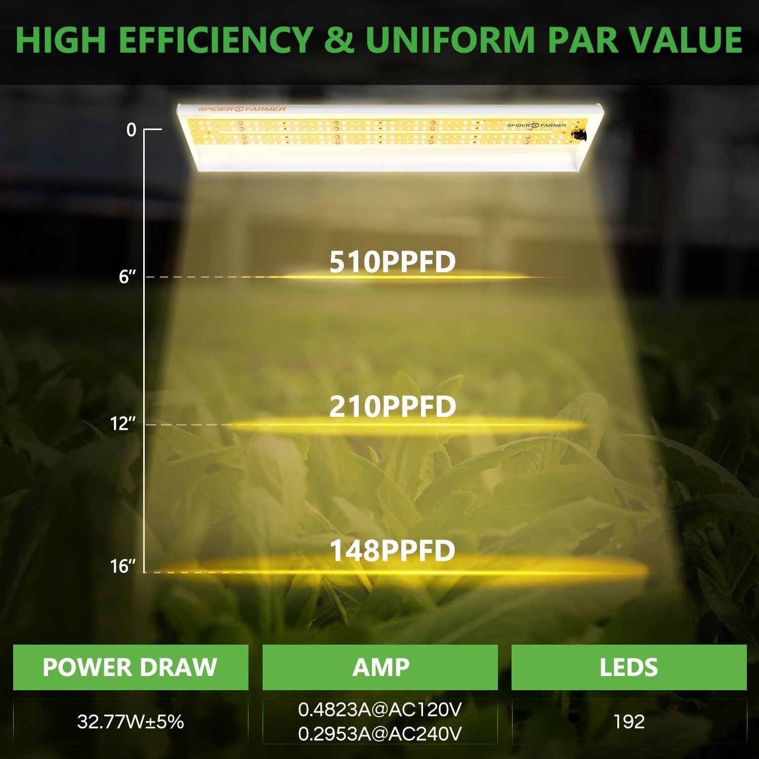 Spider Farmer SF-300, 33W LED kweeklamp