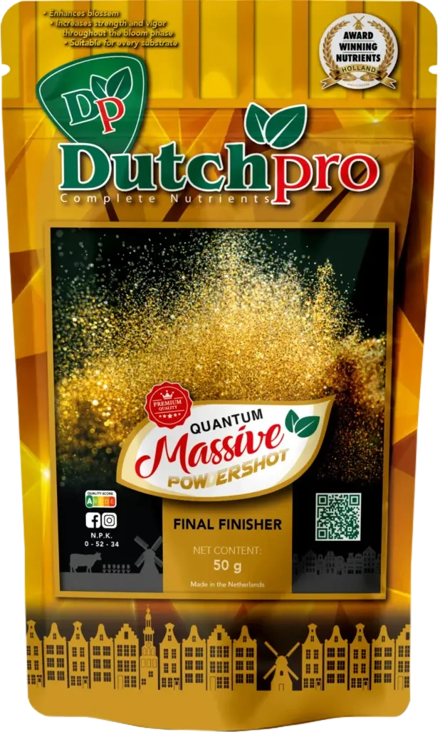 Dutch Pro | Quantum Massive Powder | Bloei booster | 50 gram