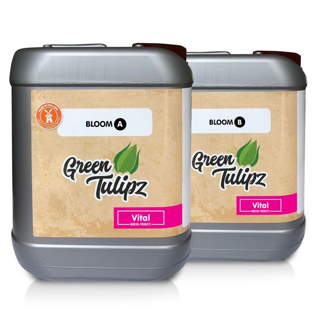 Green Tulipz, Bloom A&B 5 ltr