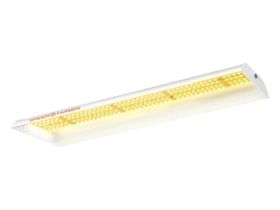 Spider Farmer SF-300, 33W LED kweeklamp