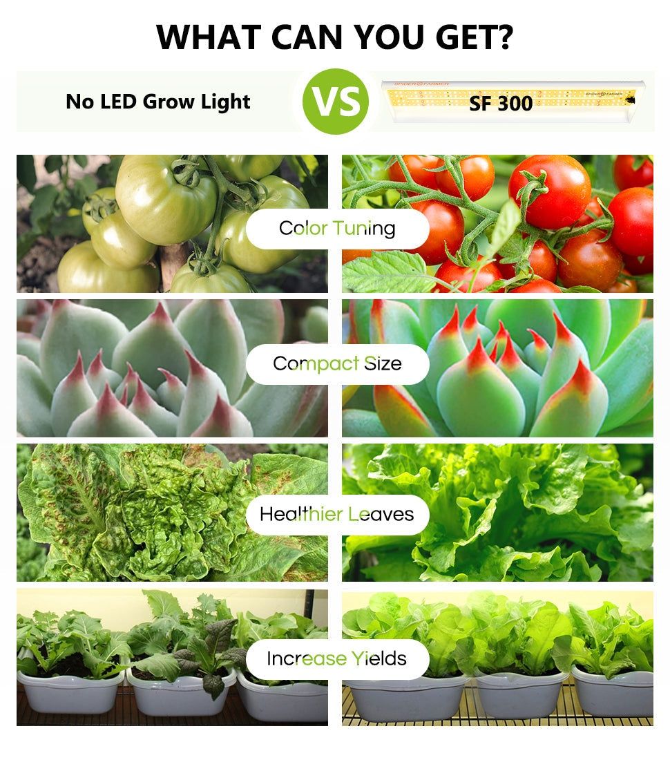 Spider Farmer SF-300, 33W LED kweeklamp
