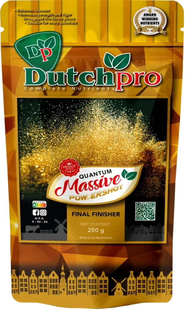 Dutch Pro | Quantum Massive Powder | Bloei booster | 250 gram