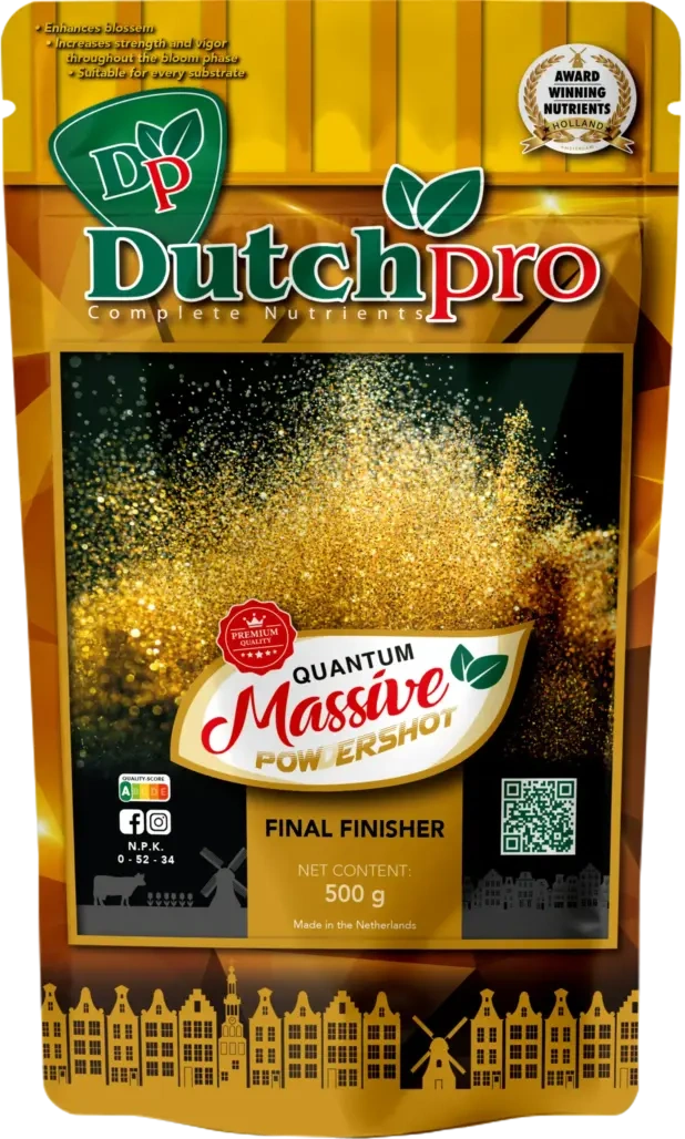 Dutch Pro | Quantum Massive Powder | Bloei booster | 500 gram