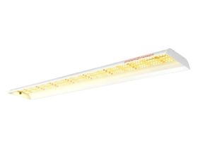 Spider Farmer SF-600, 74W LED kweeklamp