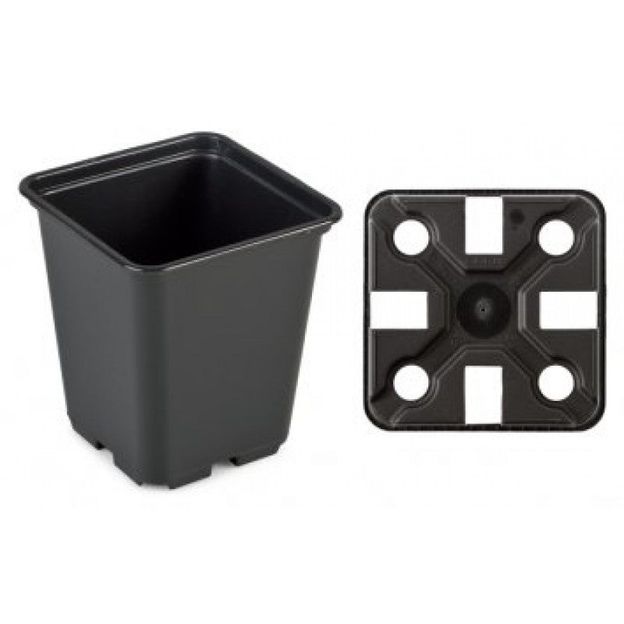 Voorgroei pot 0,5 ltr. per stuk
