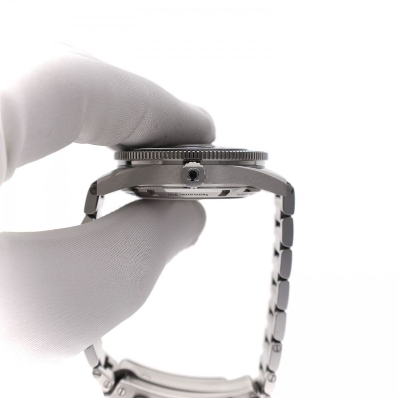Image 6 of Omega Seamaster 300 Master Co-Axial Men's Watch