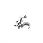 Image 4 of Silver charm; Squirrel