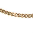 Image 5 of Gold gourmet link chain | 50 cm