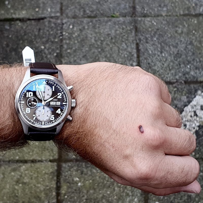 Image 7 of IWC Saint Exupéry Limited Edition Chronograph Men's Watch