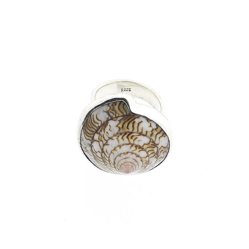 Image 3 of Silver ring with sea snail shell