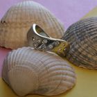 Image 9 of White gold wide ring with diamonds; 0.20 ct.