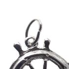 Image 3 of Silver charm; Rudder 2