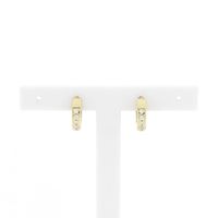 Gold earrings; Ø 14.3 mm